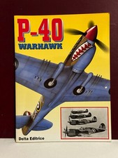 P-40 Warhawk ed Delta Aviazione Aeronautica