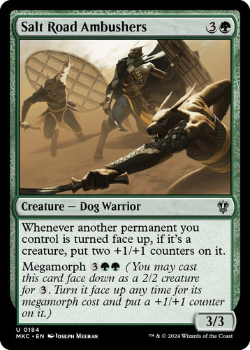 Salt road ambushers assassini - road, [assassini