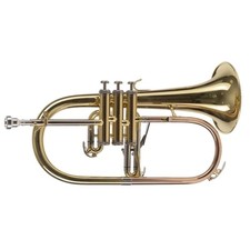 Amadeus flicorno soprano