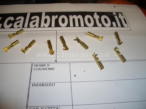 Capocorda femmina spina - capocorda,