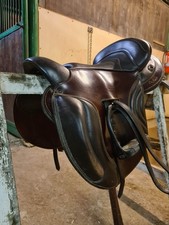 Sella da trekking completa di