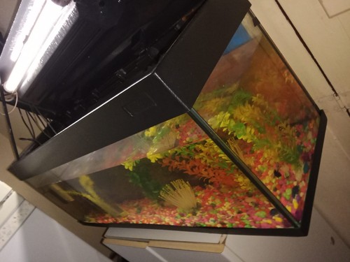 Acquario completo usato - completo,
