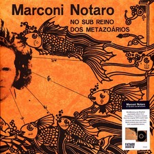 Marconi notaro sub reino - notaro,