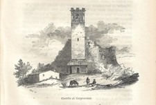 Stampa antica CARPENEDOLO il