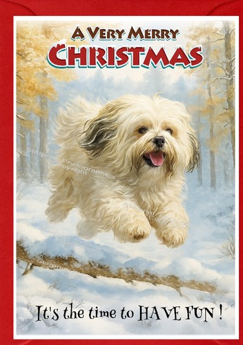 Biglietto natale per cani - biglietto,