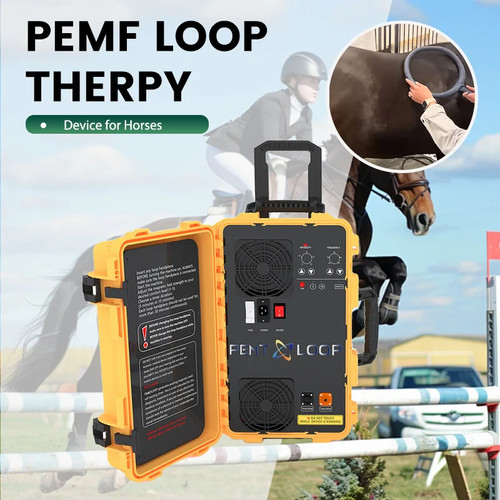 Vet pmst loop equino pemf - pmst,