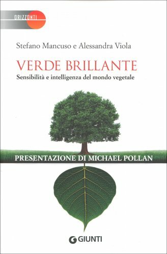 Libro verde brillante - verde,