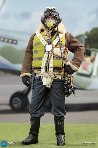 Did k80187 wwii british - did, pilot