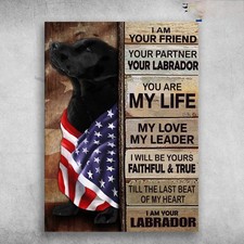 American Dog, Black Labrador