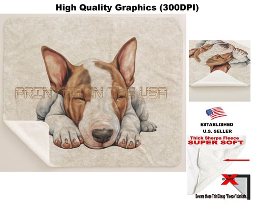 Bull terrier cane razza - bull,