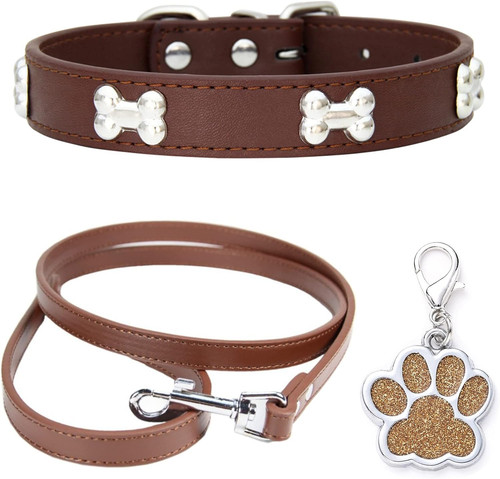 Collare per cani - collare,