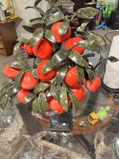 ALBERO BONSAI DI GIADA PESCO