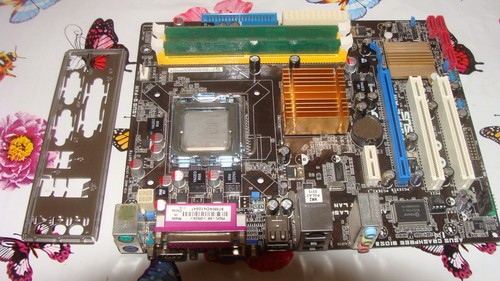 Scheda madre asus - scheda, p5qpl-am