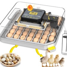 Incubators for Hatching Eggs