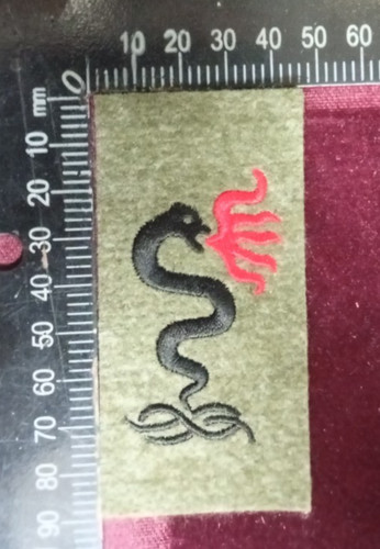 Toppa patch insignia regio - patch,