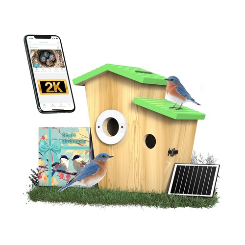 Bird house con telecamera - bird,