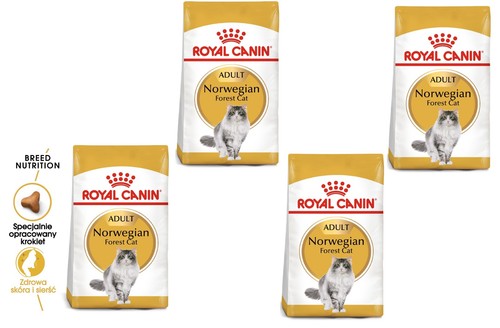 Royal canin cibo - royal,