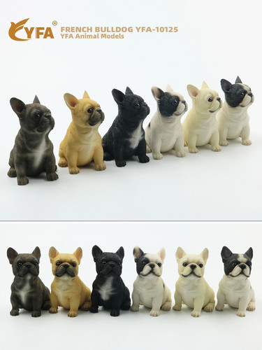 Jjm bulldog francese seduto - bulldog,