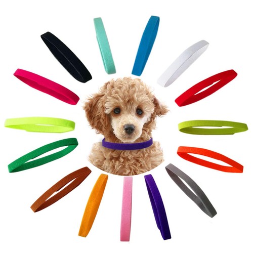 Pezzi collari cucciolo - 15,
