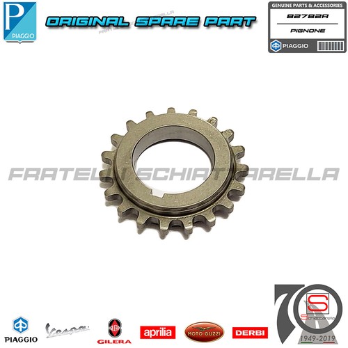 Pignone catena distribuzione - pignone,