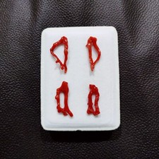 Ramo di corallo rosso naturale