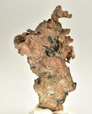 Rame nativo - Ajo, Arizona