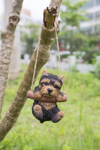 Yorkshire terrier appendere - yorkshire,
