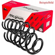 2 molle sospensione Magnum