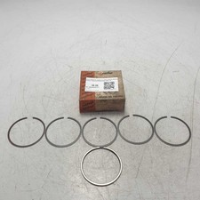 Fasce elastiche segmenti