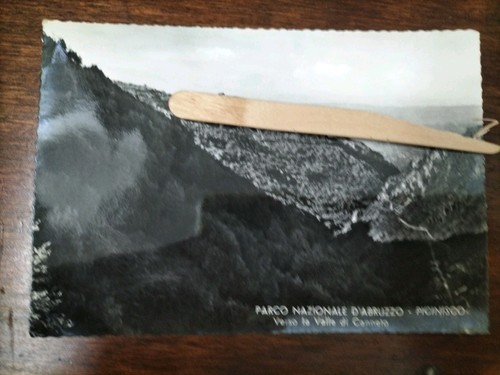 Parco nazionale abruzzo - parco,