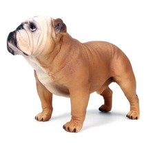 Bulldog cane animale