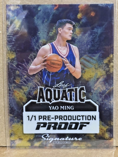 Yao ming 2025 - yao, foglia