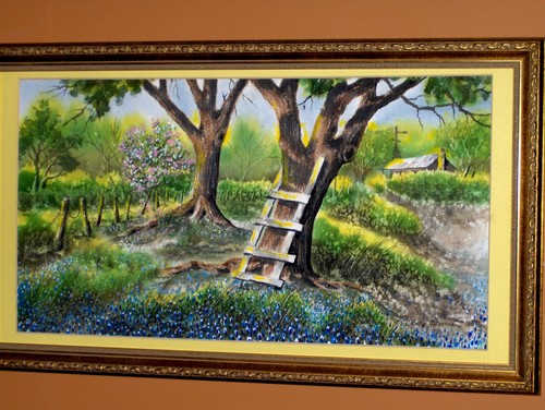 Splendido bluebonnet paesaggio - splendido,