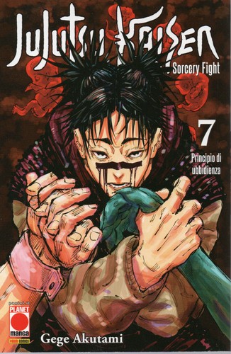 Jujutsu kaisen sorcery - jujutsu, 7