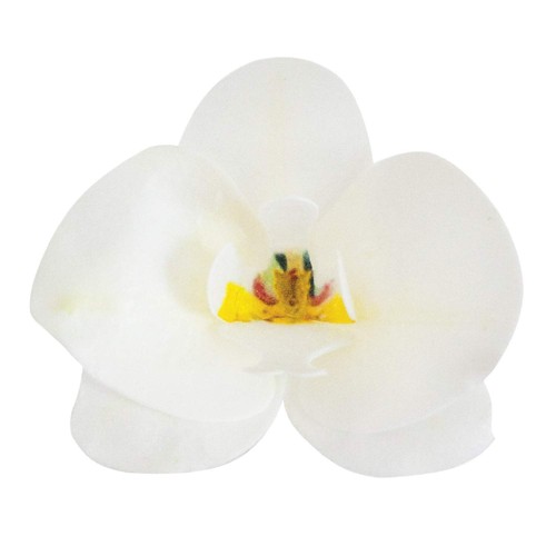 Conf orchidee in cialda - conf.,