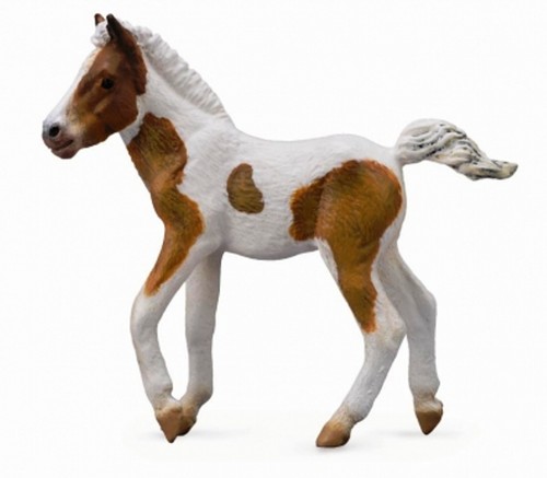 Collecta dartmoor hill foal - collecta,
