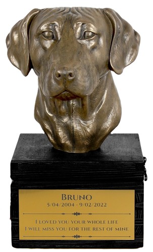 Rhodesian ridgeback black - rhodesian,