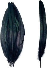 50 pezzi piume nere lunghe coda di gallo coca cola 12-14 pollici per cappello costume