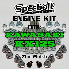 KX125 Engine Bolt Kit for