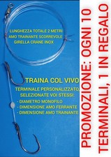 TERMINALE TRAINA COL VIVO