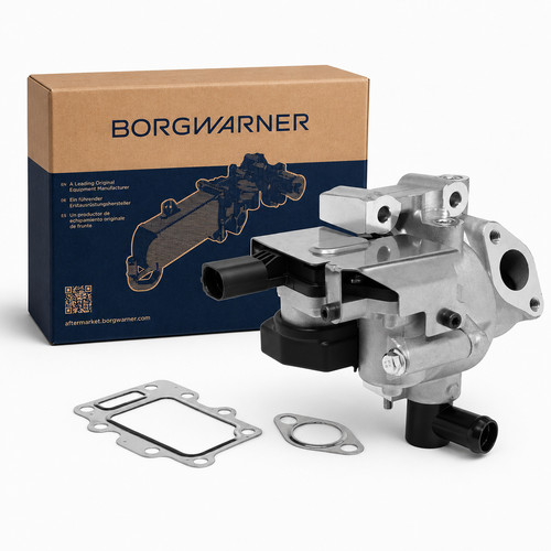 Borgwarner valvola egr - borgwarner,