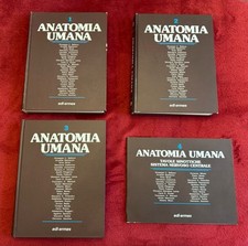 LIBRI ANATOMIA UMANA BALBONI