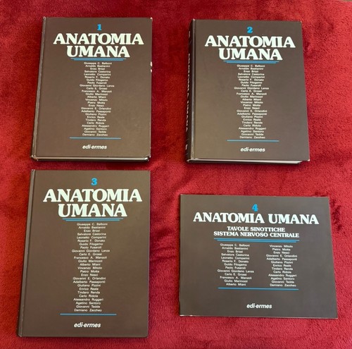 Libri anatomia umana balboni - umana,