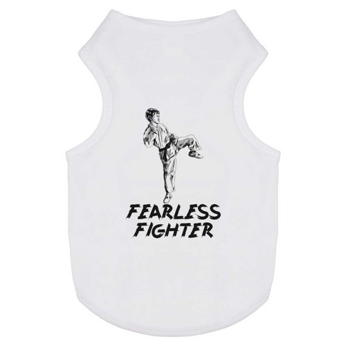 Martial mastery fearless - mastery,,