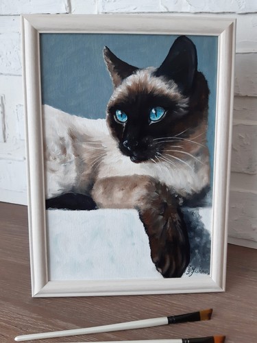Quadro gatto siamese animale