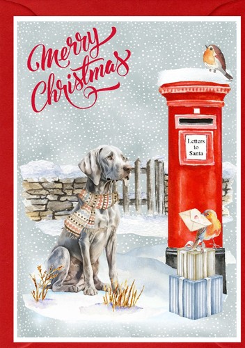 Biglietto natale weimaraner - di,