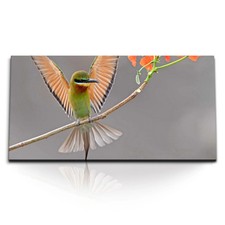 Quadri stampa artistica 120x80