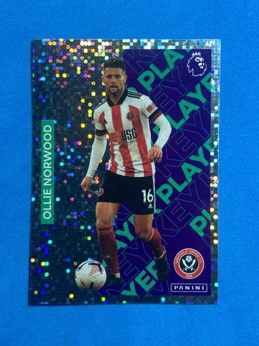 Panini sticker premier league - premier,