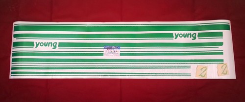 Fiat panda young kit adesivi - fiat,