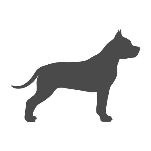 Adesivo staffordshire bull - adesivo,
